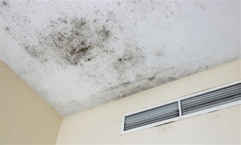 damp patch on ceiling, but no leak|Damp Patch on Ceiling But No Leak